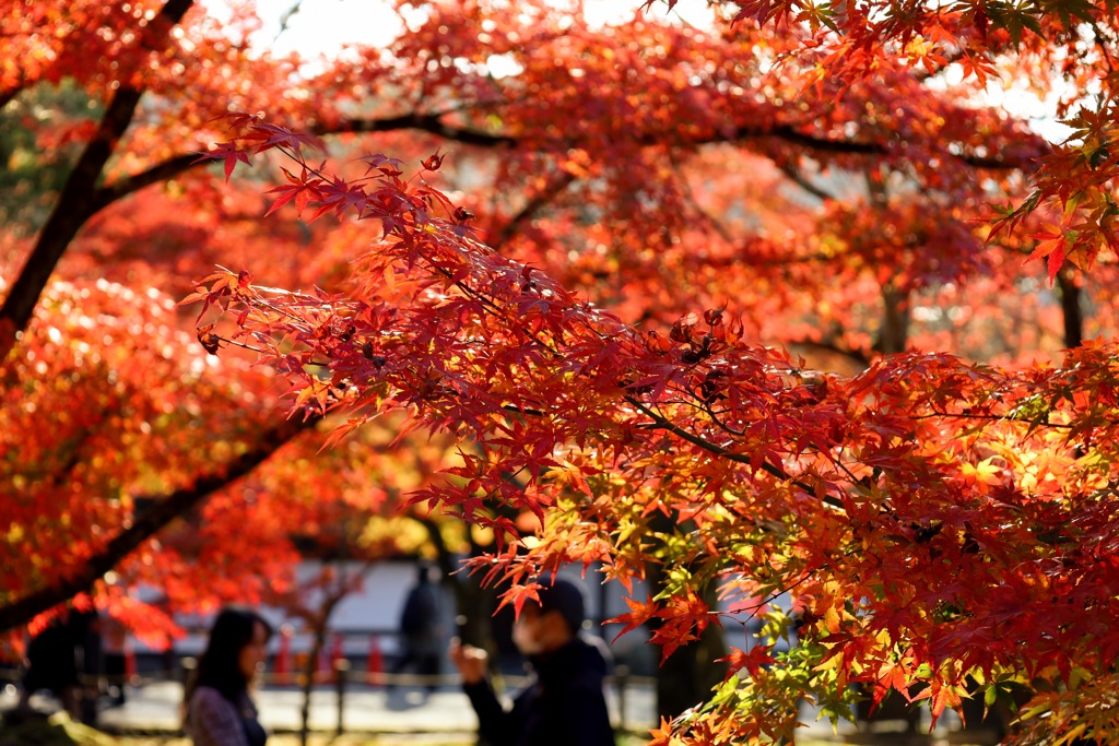 南禅寺_IMG_0936