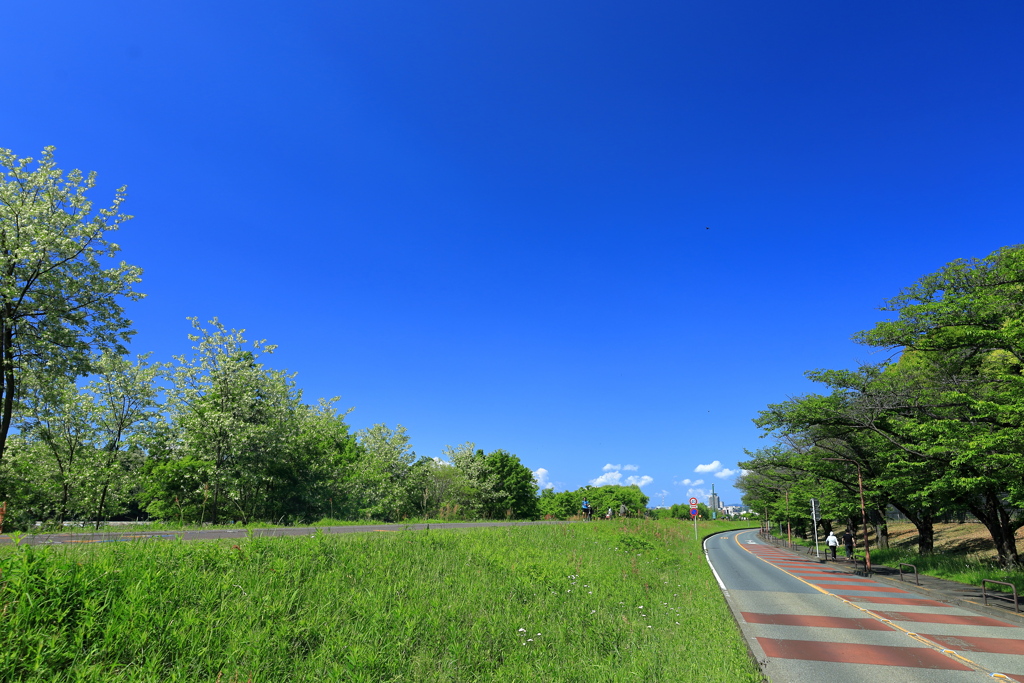 多摩川サイクリングロード（府中）IMG_4263-1