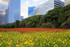都会の花畑