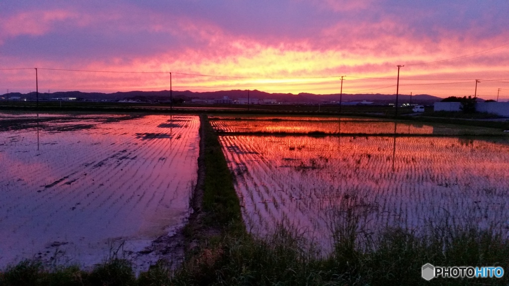 夕方の田園