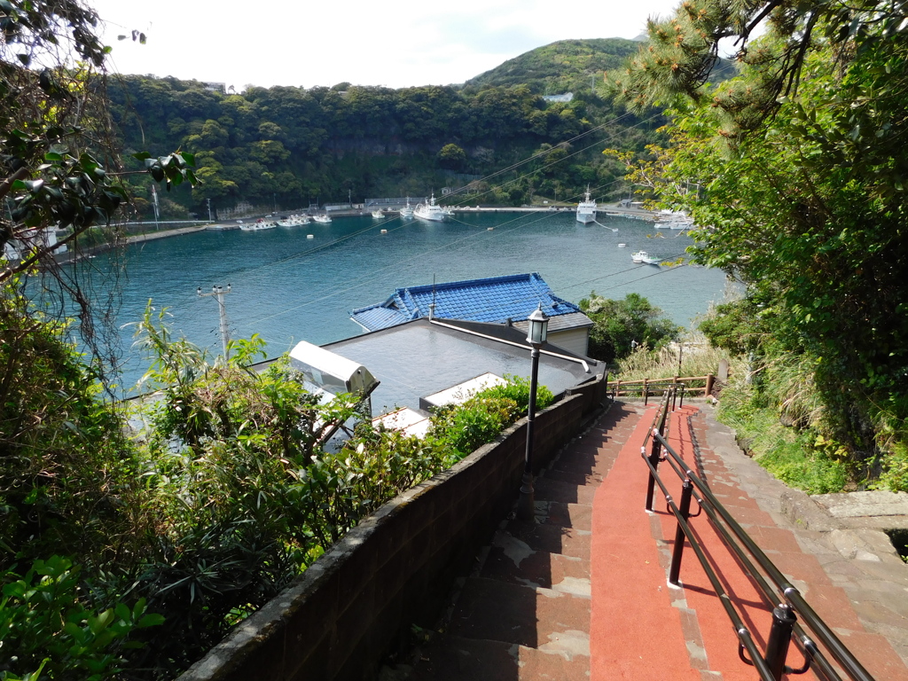 東京都大島～踊り子坂０３