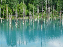 北海道美瑛町～青い池０３