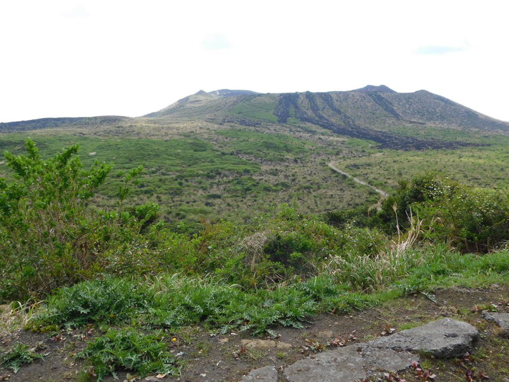 東京都大島～三原山０４