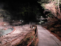 群馬県吾妻郡草津町~西の河原公園「夜」02