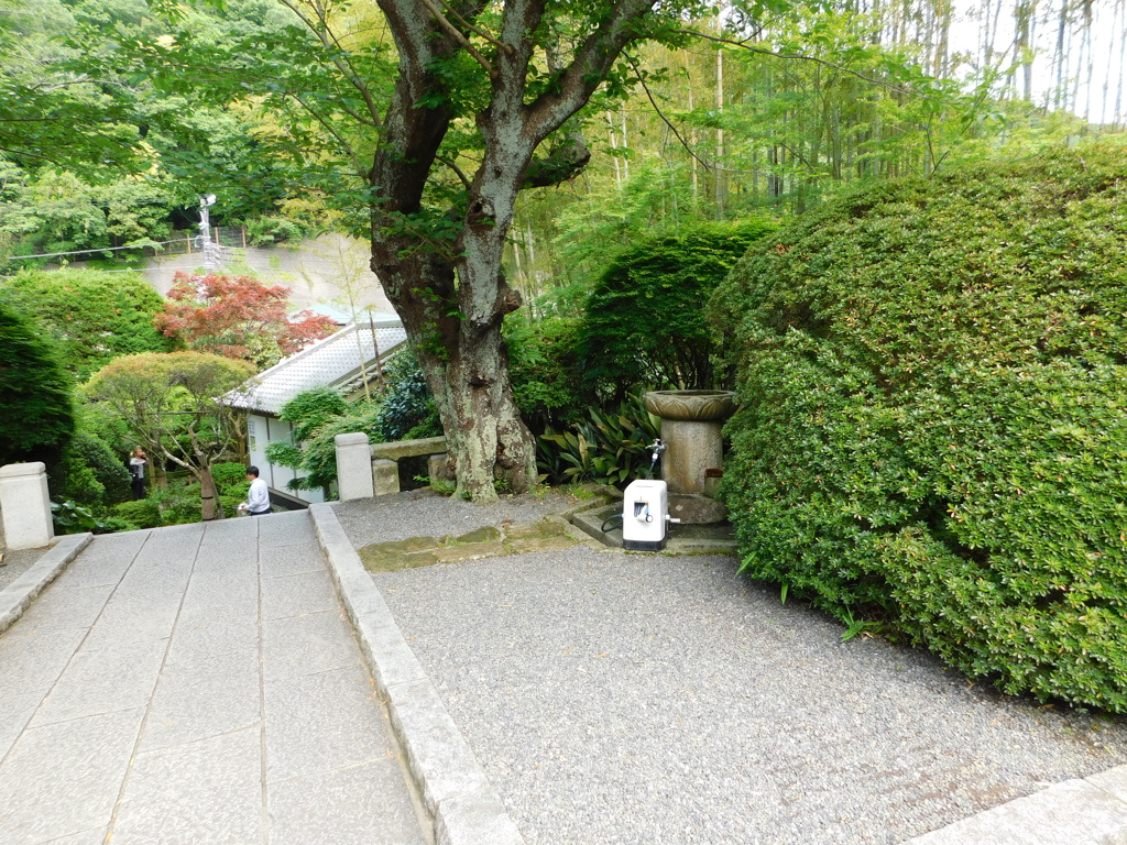 神奈川県鎌倉市～報国寺０２