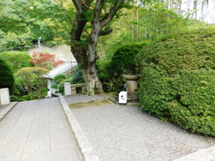 神奈川県鎌倉市~報国寺02