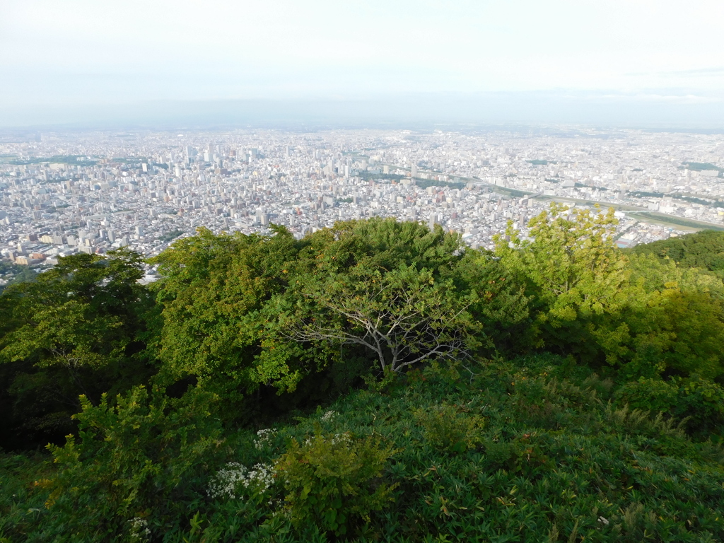 札幌市南区～藻岩山山頂０３