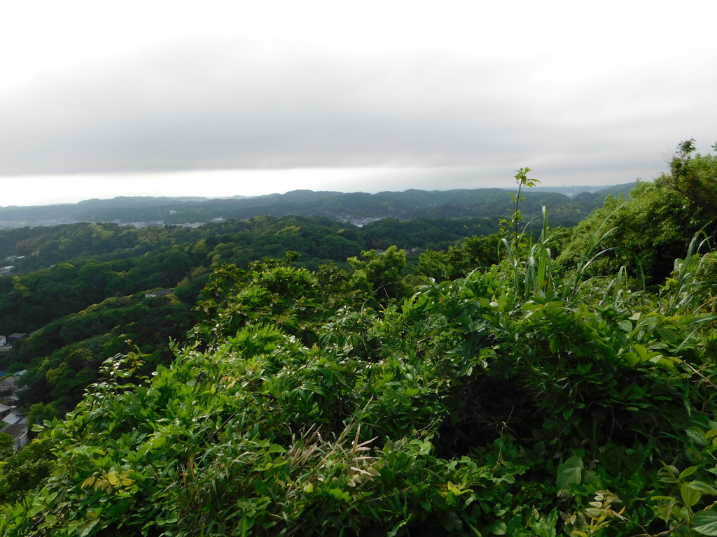 神奈川県鎌倉市～布張山１１