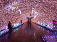 静岡県御殿場～時之栖イルミネーション０２