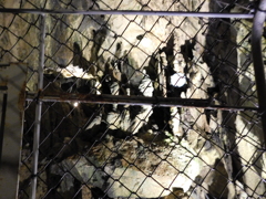 東京都西多摩郡奥多摩町～日原鍾乳洞１９