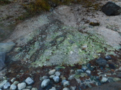 群馬県吾妻郡草津町~西の河原公園「朝」07