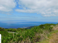東京都大島~三原山03