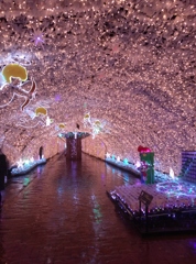 静岡県御殿場～時之栖イルミネーション０１