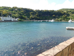 東京都大島～波浮港０１