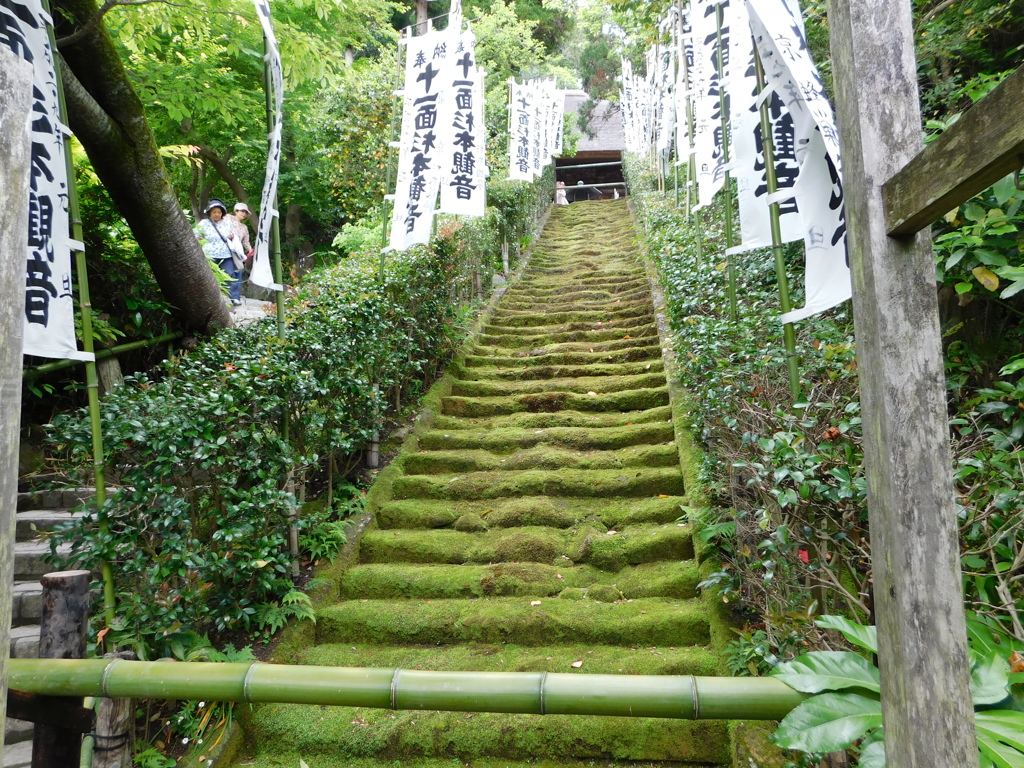 神奈川県鎌倉市～杉本寺０２