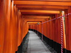 京都府~伏見稲荷大社千本鳥居02