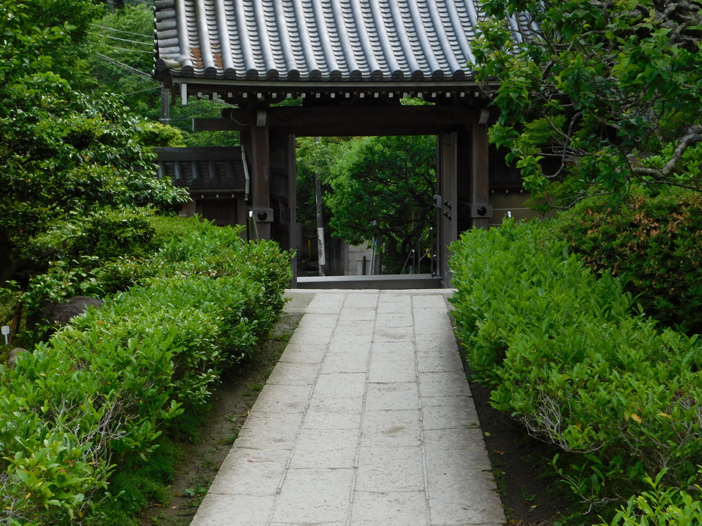 神奈川県鎌倉市～浄妙寺０５