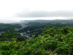 神奈川県鎌倉市~布張山07