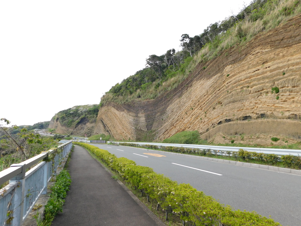 東京都大島～地層切断面１１