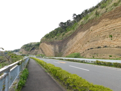 東京都大島～地層切断面１１
