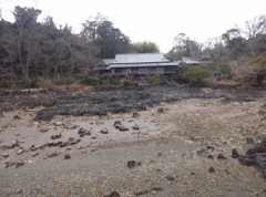 静岡県三島～楽寿園０３