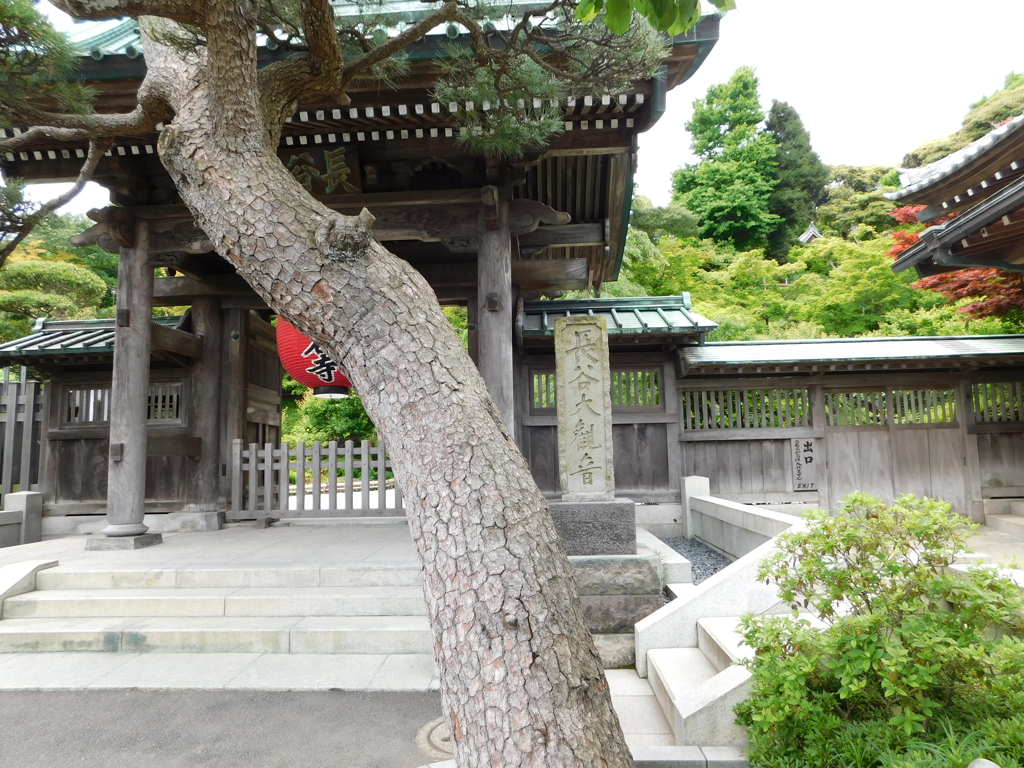 神奈川県鎌倉市～長谷寺０１
