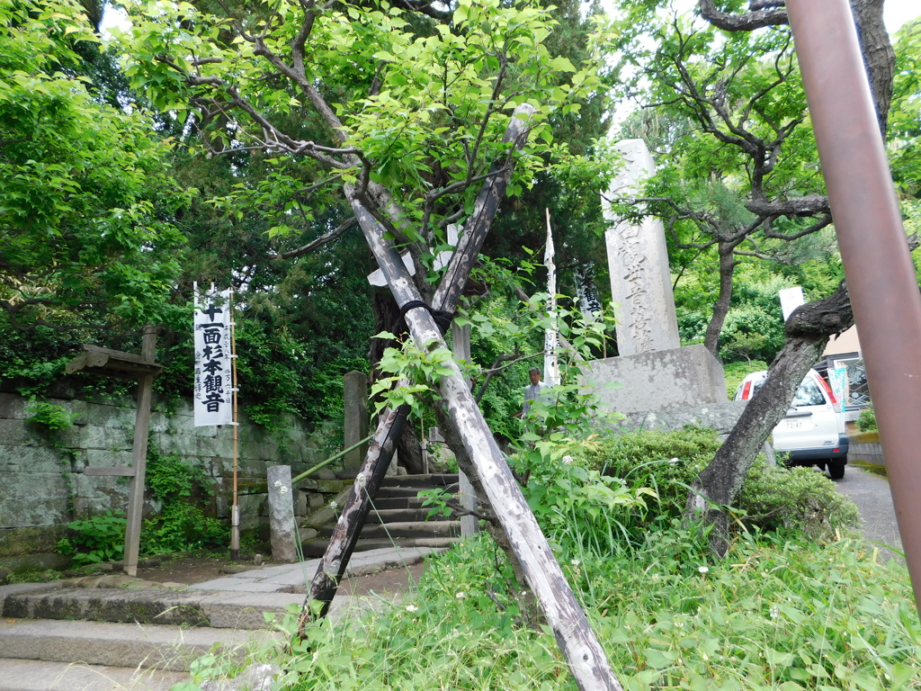 神奈川県鎌倉市～杉本寺０５