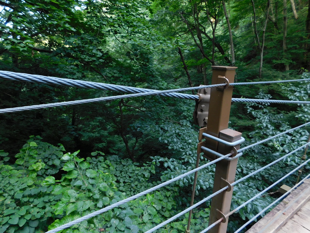 東京都八王子市高尾町~高尾山登山道吊橋０３
