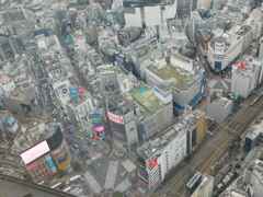 渋谷スクランブル交差点＿昼０２