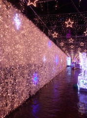 静岡県御殿場～時之栖イルミネーション０３