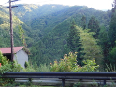 東京都西多摩郡奥多摩町~日原07