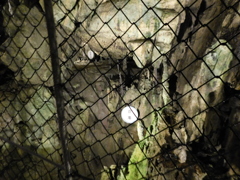 東京都西多摩郡奥多摩町～日原鍾乳洞１８