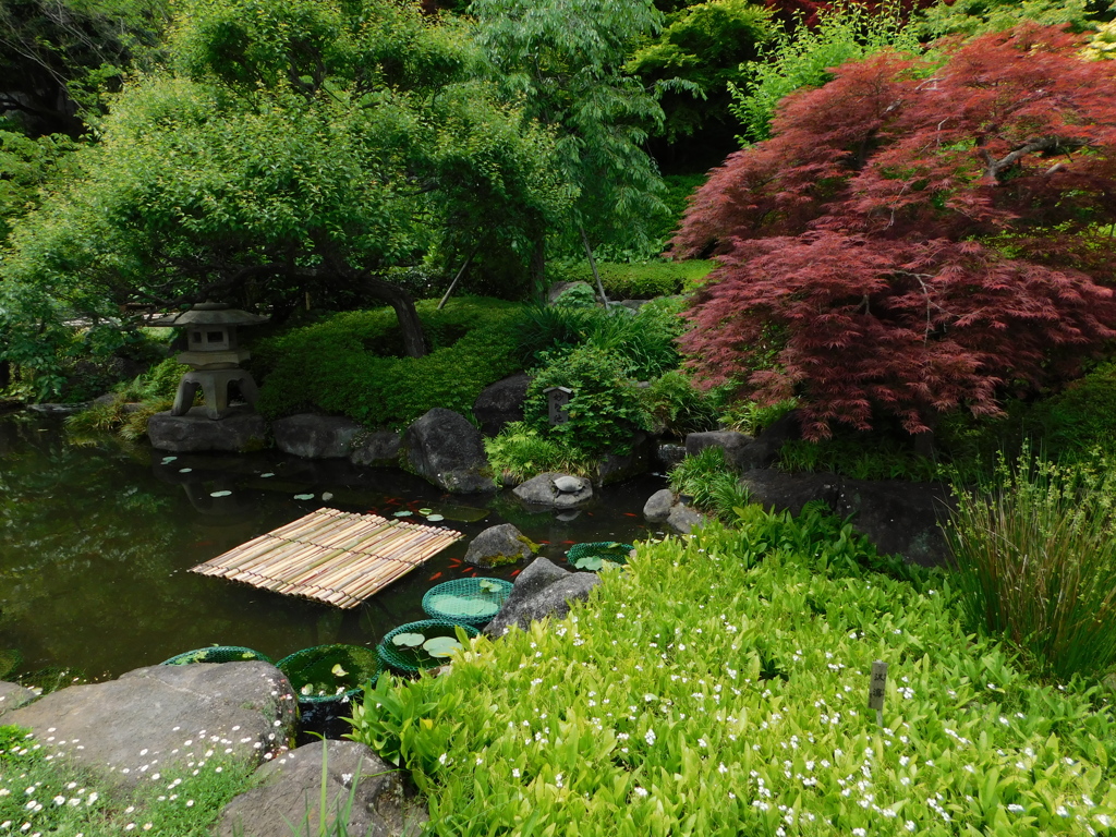 神奈川県鎌倉市～長谷寺０４