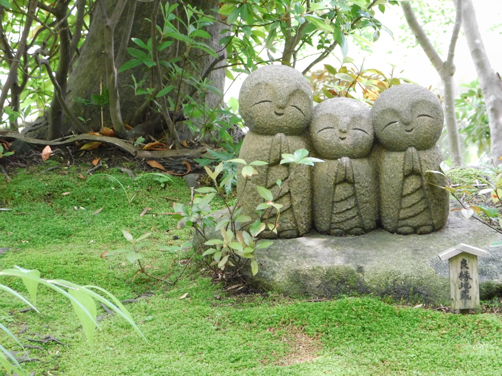 神奈川県鎌倉市～長谷寺０７