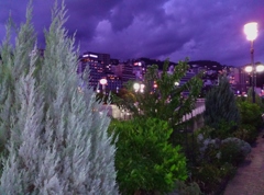 静岡県熱海市~熱海港03