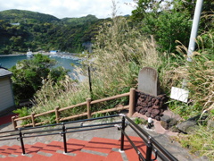 東京都大島～踊り子坂０５