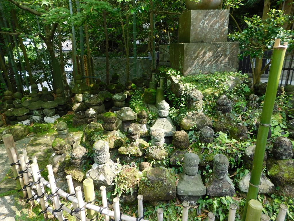 神奈川県鎌倉市～報国寺１０