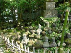 神奈川県鎌倉市~報国寺10