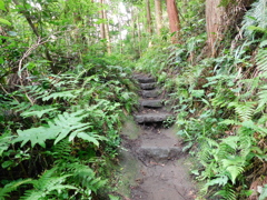 神奈川県鎌倉市~布張山03