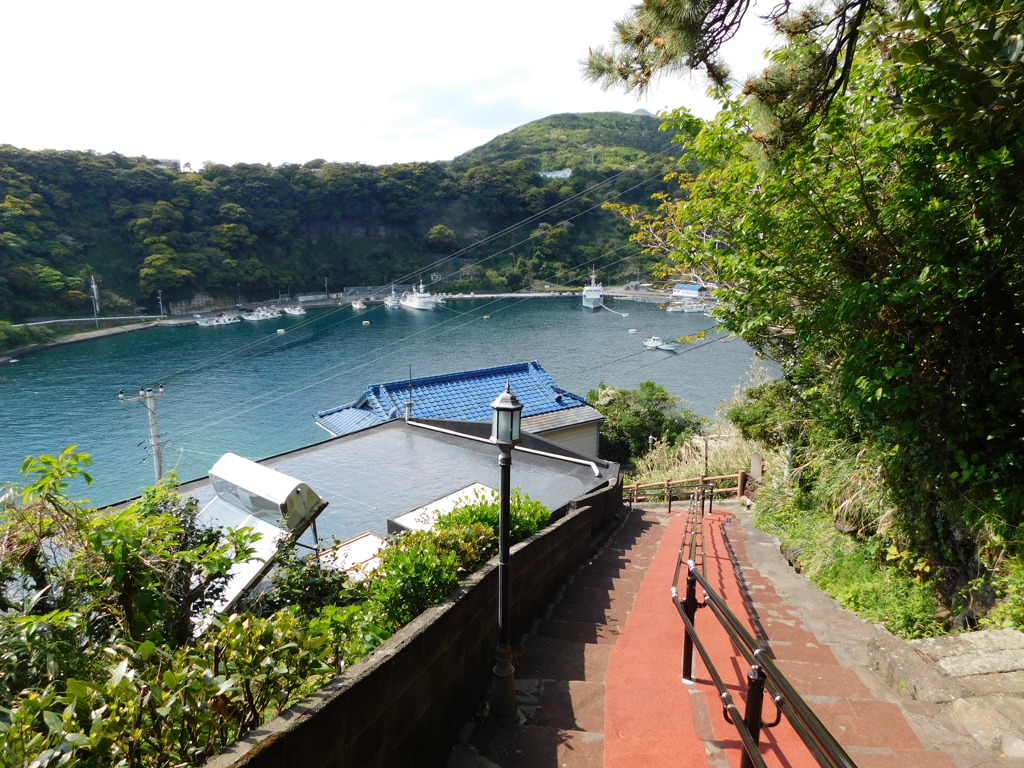 東京都大島～踊り子坂０４