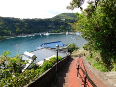 東京都大島～踊り子坂０４