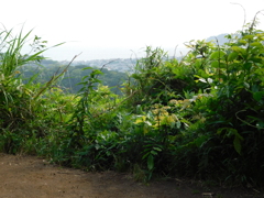神奈川県鎌倉市~布張山14