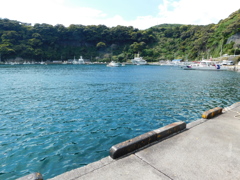 東京都大島～波浮港０４