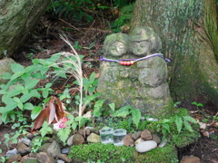 神奈川県鎌倉市~布張山05