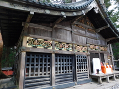 栃木県日光市～日光東照宮～サル０１