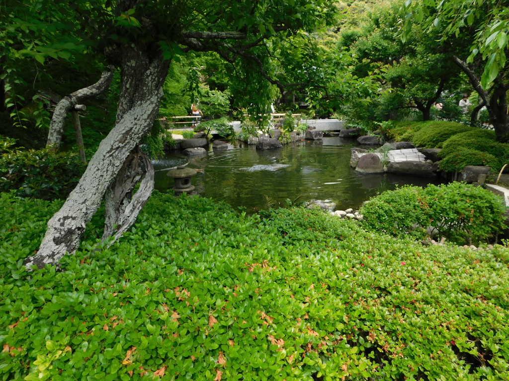 神奈川県鎌倉市～長谷寺０５