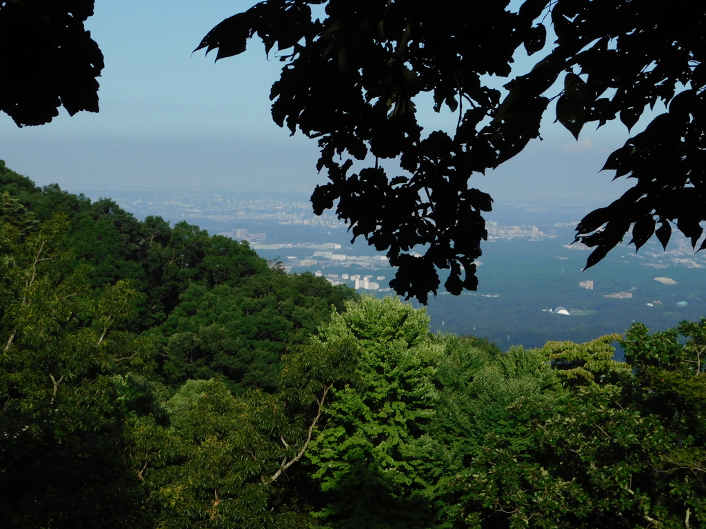 東京都八王子市高尾町~高尾山山頂０４