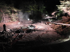 群馬県吾妻郡草津町~西の河原公園「夜」01