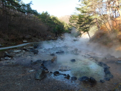 群馬県吾妻郡草津町~西の河原公園「朝」06
