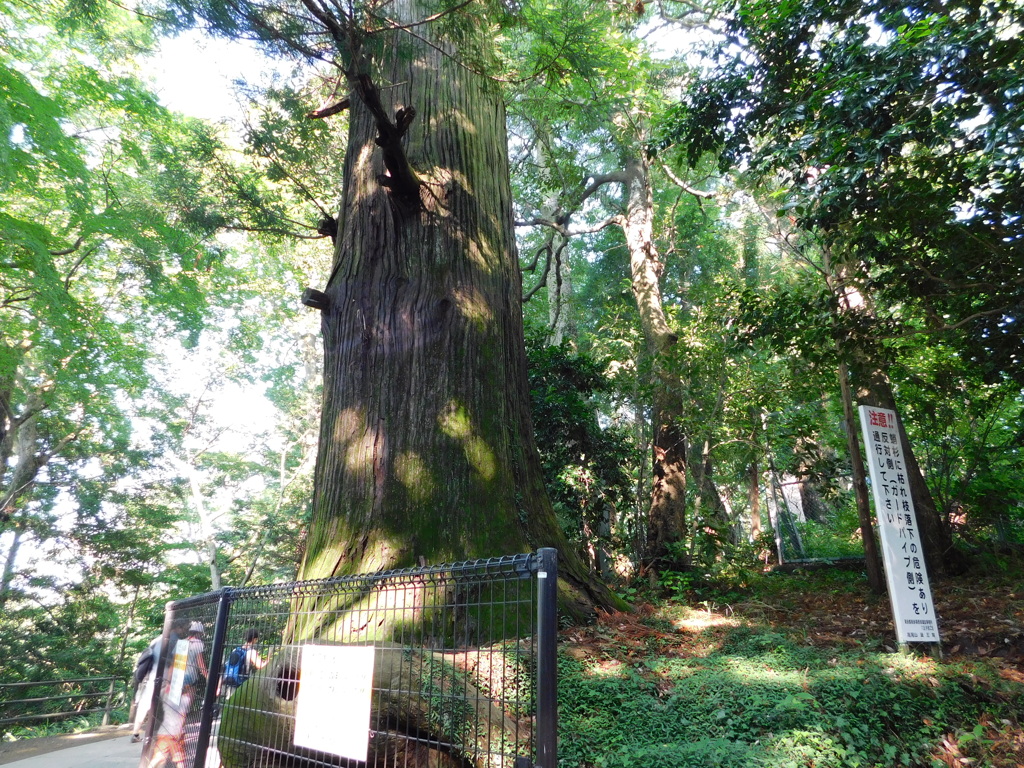 東京都八王子市高尾町~高尾山登山道０３